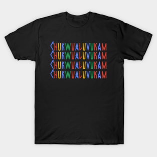 Chukwualuvukam colours T-Shirt